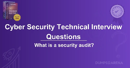 What is a security audit? Defination From Dumpsarena