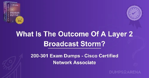 What Is The Outcome Of A Layer 2 Broadcast Storm?