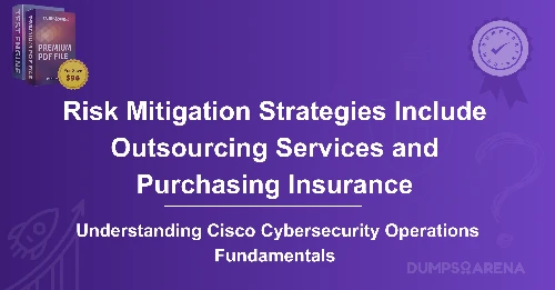 Which Risk Mitigation Strategies Include Outsourcing Services and Purchasing Insurance?